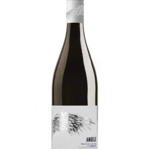 Buy Montepulciano Wine Online